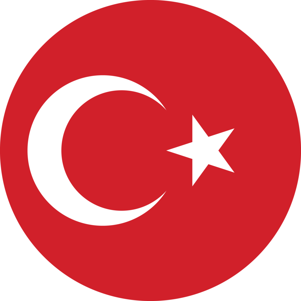 Türkçe